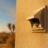 El Paso Appliance Repair Dryer Vent Cleaning Service